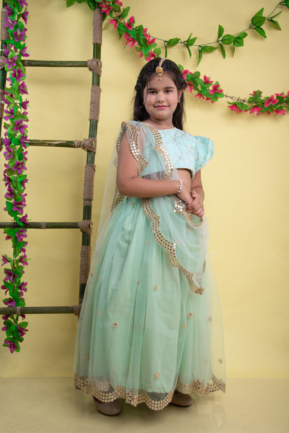 Embroidered lehenga set for girls