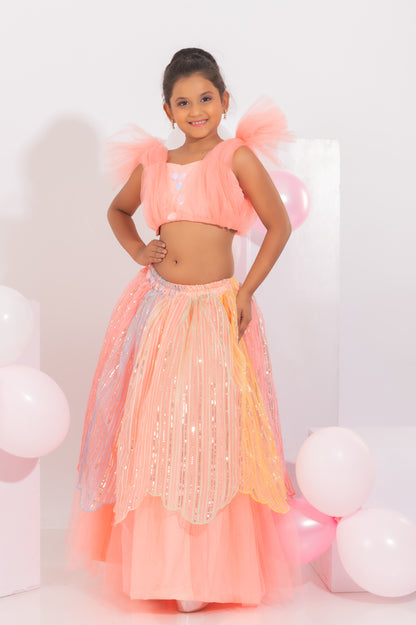 Embroidered Skirt and Crop-top for girls