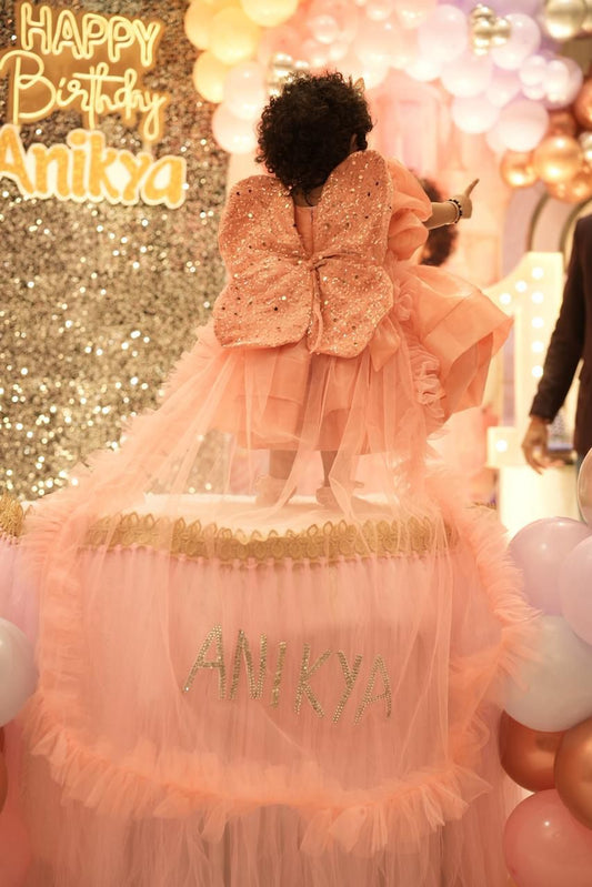 Multi Layered dress for girls with butterfly wings